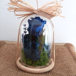 Mini Cúpula Rosa Eterna Azul