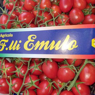 Pomodoro pixel/piccadilly 500g