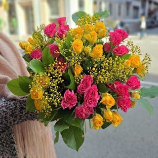 "Provenza" 45€ a 68€