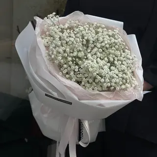 11 гілочок білої гіпсофіли 