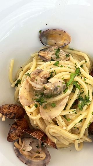 Spaghettone vongole