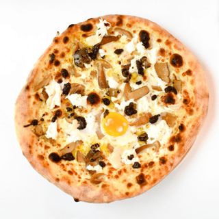 P. Meraviglie del bosco