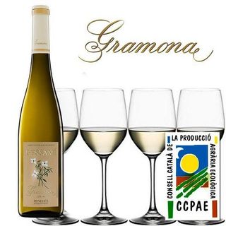 Wino GESSAMI BLANCO ECO GRAMONA  750 ml