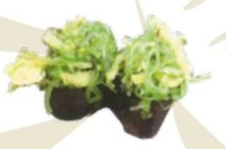 G11 Gunkan Wakame  - 2 pezzi