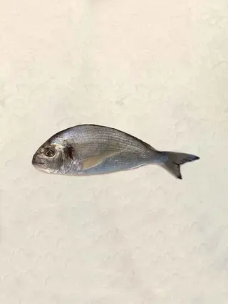 Dorada (700 Gr.)
