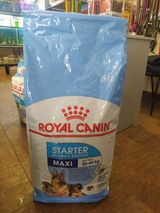 Royal Canin Starter Maxi