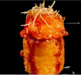 54. Gunkan sake fritto