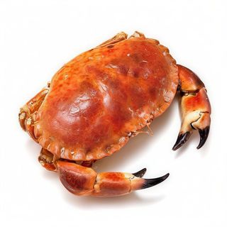 Buey De Mar (1 Kg.)