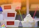 Vaschetta yogurt gelato grande 