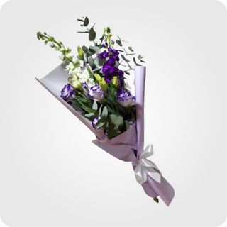 შოპაი & ეუსტომა