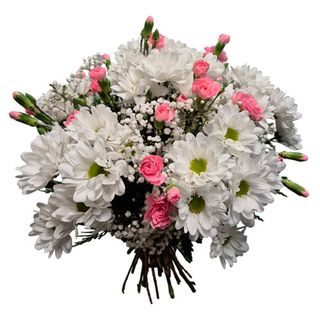 Ramo de Margaritas y Clavelinas