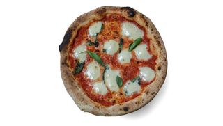 Margherita