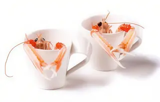 Y10 Scampi - 2 pezzi