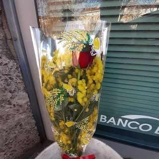 Mimosa  con una rosa