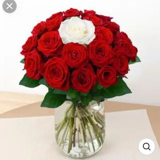 Bouquet amoureux  12 red