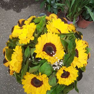 Bouquet girasole