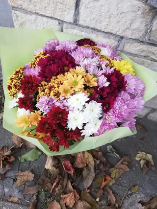 Buchet multicolor crizantema