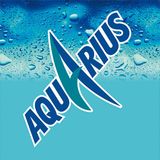 AQUARIUS LIMON BOTE 330ML