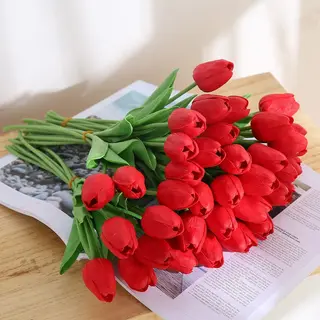 mazzo di 20 tulipani rosso