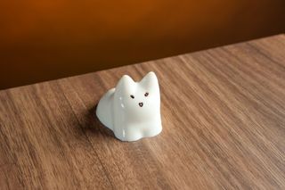 პანაკოტა