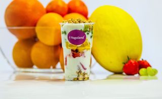 Zestaw Śniadaniowy Fit na jogurcie naturalnym niemrożonym 350g