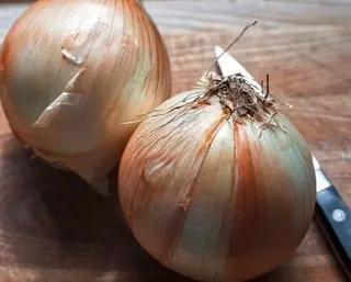 grillowana biała cebula