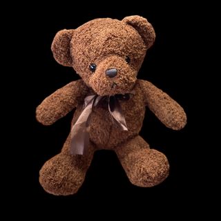 Chocholate Teddy