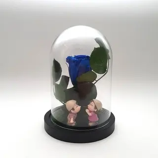 Cúpula Mini Rosa Azul