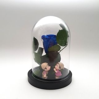 Cúpula Mini Rosa Azul