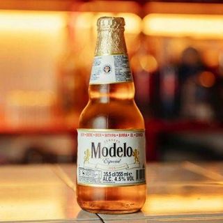 MODELO ESPECIAL