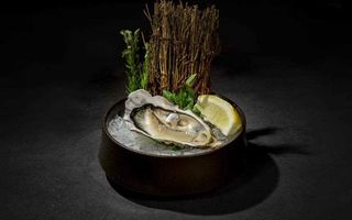 204. Ostriche -1 pezzi