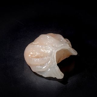 4. Ravioli cristallo