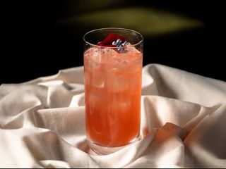 Лимонад Троянда-кокос (200мл)