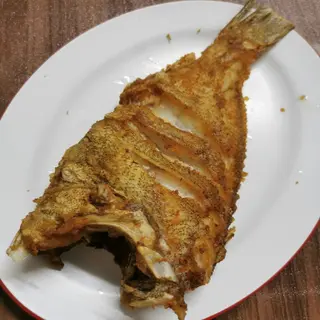 Croaker