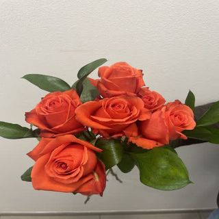 Media Docena De Rosas Naranja