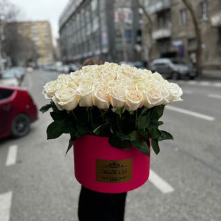 11 ყვავილები ყუთში