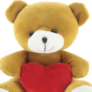 Oso de peluche 