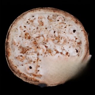 Pizza Crevette Ø30cm