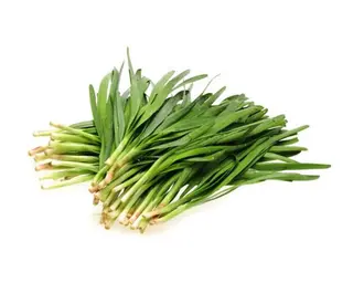 Ciboule - La Botte