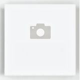 70. Пилешко с ананас (600г)