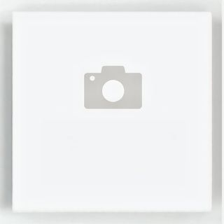 70. Пилешко с ананас (600г)