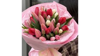 Bukiet z 11 kolorowych tulipanów