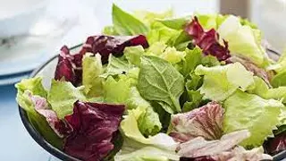 Insalata