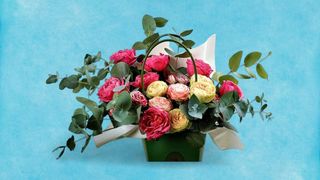 ფერადი სპრეი ვარდების ,,ჩანთის" კომპოზიცია