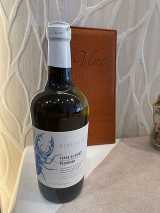 Terre Di Chieti IGP BIO 2022 (Abruzzo)