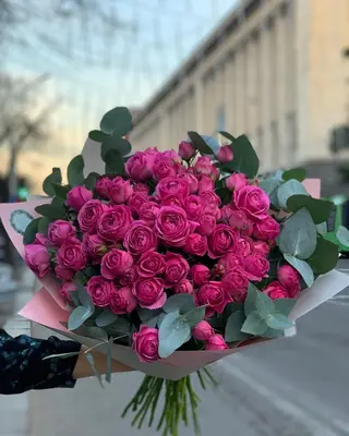 დიდი პიონისებური ვარდის კონა