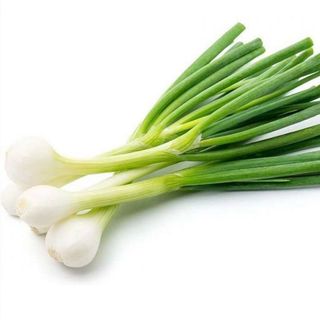 Fascio cipolline 1 pezzo