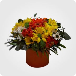 პატარა კომპოზიცია N 4