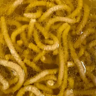 Passatelli in brodo 