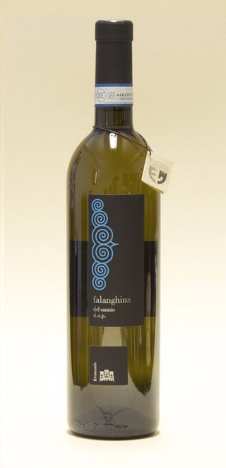 Vino bianco bottiglia Falanghina Fremondo